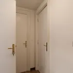 Le Del Centro Sanremo